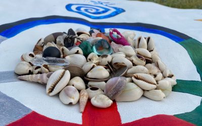 Cowry Shell Divination – Beth Erlander